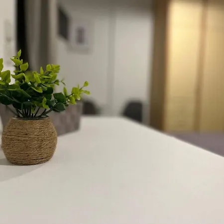 Studio Asi *