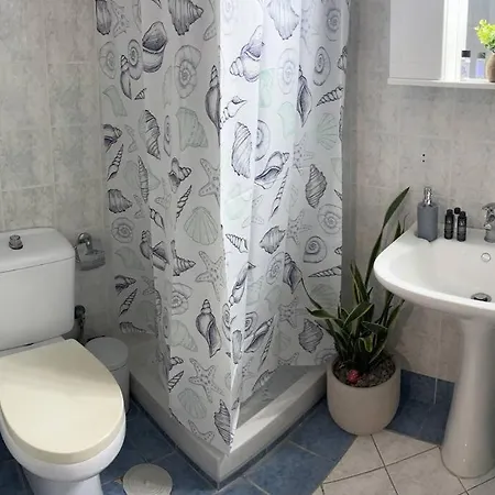 Apartment Studio Asi